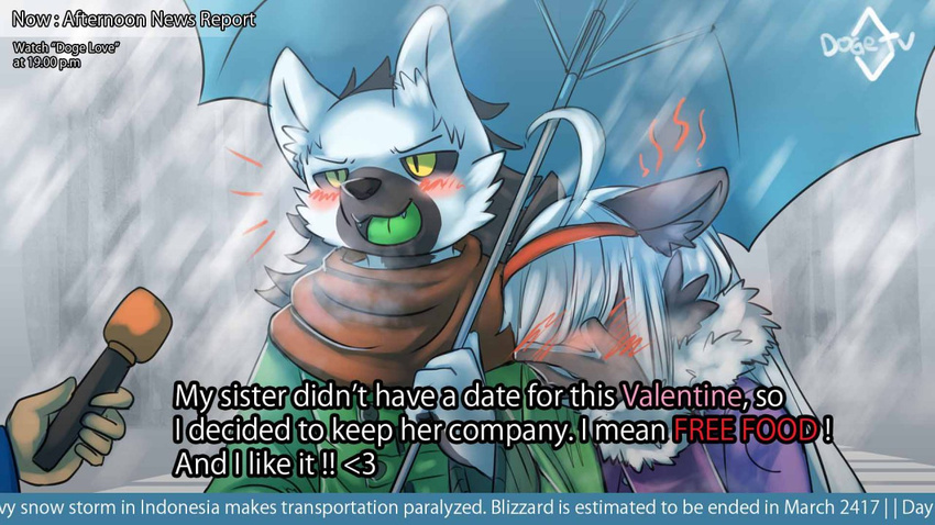 blush canine clothed clothing english_text facepalm group holidays mammal meme microphone ocaritna ocatrina open_mouth outside scarf snow snowing special_feeling text umbrella valentine's_day valentine's_day