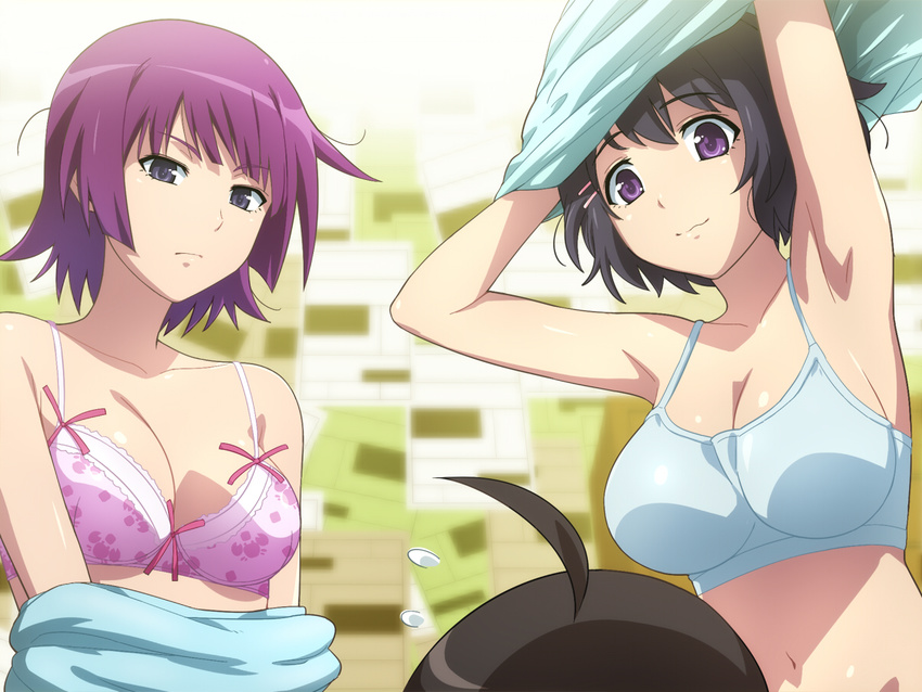 2girls ahoge araragi_koyomi armpits arms_up bakemonogatari black_hair blue_eyes breasts hairu hanekawa_tsubasa long_hair medium_breasts monogatari_(series) multiple_girls purple_eyes senjougahara_hitagi short_hair undressing