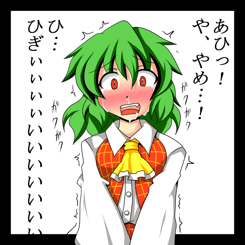 @_@ akatsubon ascot blush border drooling green_hair kazami_yuuka plaid plaid_vest red_eyes screaming short_hair snot solo tears touhou translation_request trembling v_arms vest white_background