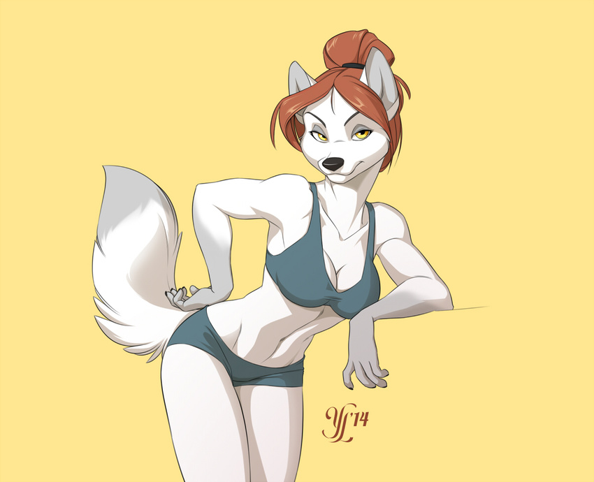 anthro arm_support black_nose bra brown_hair canine clothed clothing female front fur hair hand_on_hip looking_at_viewer mammal markings muscles muscular_female naughty_face navel panties pinup plain_background pose shirt short_hair shorts simple_background skimpy smile socks_(marking) solo standing underwear white_fur white_wolf wolf yellow_background yellow_eyes yulliandress