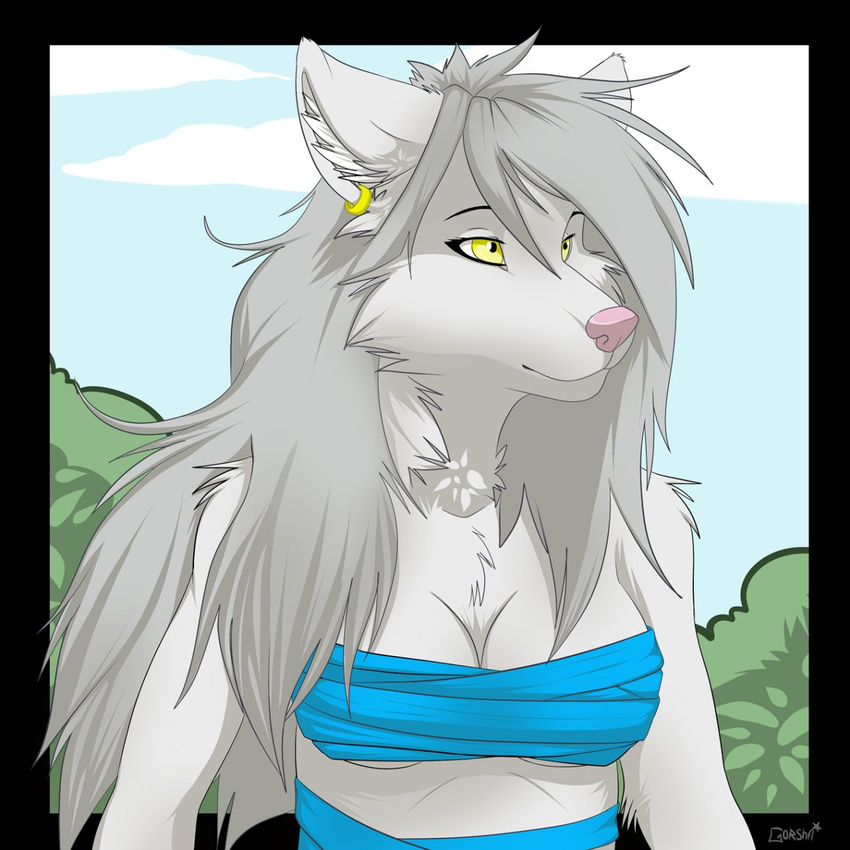 blue_shirt breasts canine chest_tuft clothing cloud cute ear_piercing ears_up female fur gorsh_dolderan hair keidran long_hair mammal outside piercing pink_nose raine_(twokinds) shirt silver_hair sky smile solo tree tuft twokinds white_fur white_hair wolf yellow_eyes