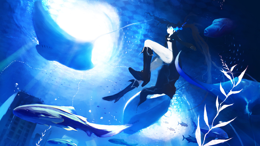 bad_id bad_pixiv_id bikini_top black_hair black_rock_shooter black_rock_shooter_(character) blue blue_eyes boots building burning_eye checkered city fish front-tie_top gloves hirokiku jacket knee_boots long_hair manta_ray shark short_shorts shorts solo sunlight twintails underwater uneven_twintails
