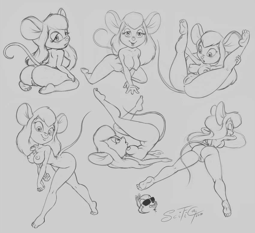 breasts butt chip chip_'n_dale_rescue_rangers chip_'n_dale_rescue_rangers disney female gadget_hackwrench invalid_tag mammal mouse multiple_poses pose pussy rodent scificat spreading teasing