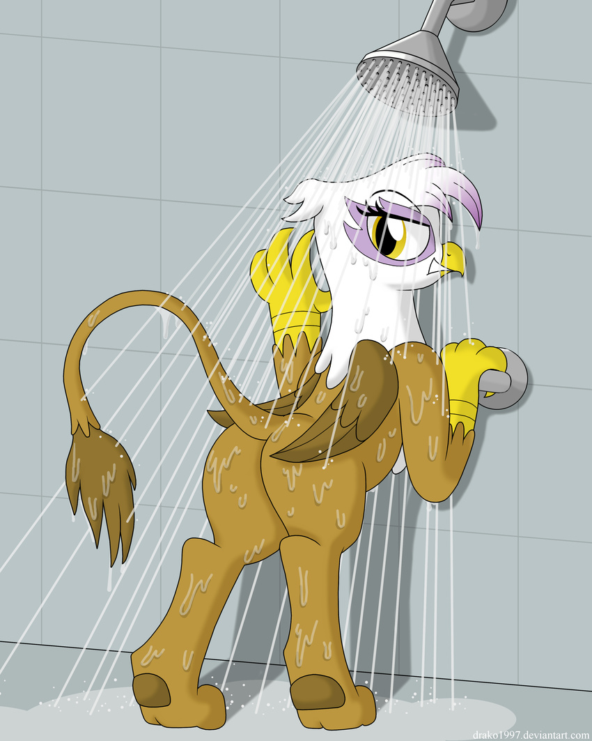 against_wall avian back_turned drako1997 feathers female friendship_is_magic gilda_(mlp) gryphon hi_res looking_at_viewer looking_back my_little_pony presenting raised_tail shower solo talons water wet wings yellow_eyes