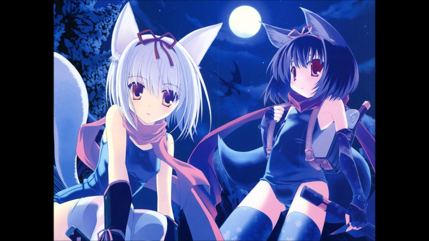 animal_ears blue_hair breasts cat_ears cat_tail dress fox_tail hair hair_bow kokonobi moon nanao_naru nanao_naru_(artist) red_eyes scarf sleeve small_breasts stockings swimsuit white_hair young