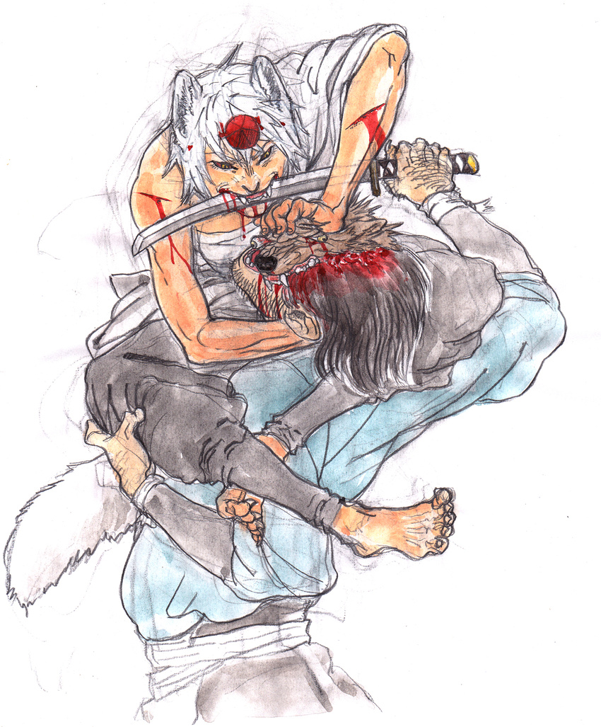 1girl animal_ears bad_id bad_pixiv_id barefoot black_hair blood cuts fangs guro hat highres injury inubashiri_momiji kobuushi muscle red_sclera severed_head sharp_teeth straddling sword tail teeth tokin_hat touhou traditional_media watercolor_(medium) weapon wolf_ears wolf_tail yellow_eyes