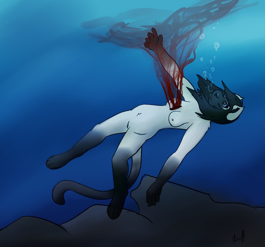 breasts bubble cat death drowning emptiness feline female fuzzywuff gore mammal nipples nude sea siamese simple_background sinking snuff solo stabbed water