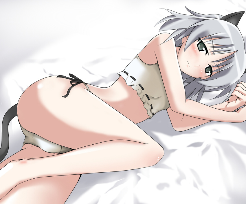 animal_ears bed blush cat_ears cat_tail grey_eyes grey_hair lying nyabe panties sanya_v_litvyak side-tie_panties solo strike_witches tail underwear world_witches_series
