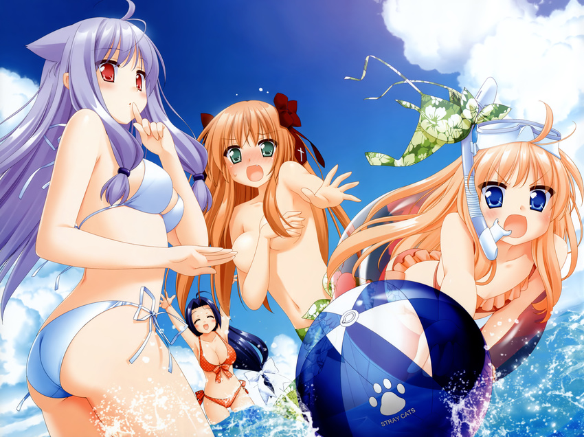 animal_ears bikini blue_eyes breasts catgirl cleavage green_eyes kiriya_nozomi mayoi_neko_overrun! peko red_eyes serizawa_fumino swimsuit tsuzuki_otome umenomori_chise wet