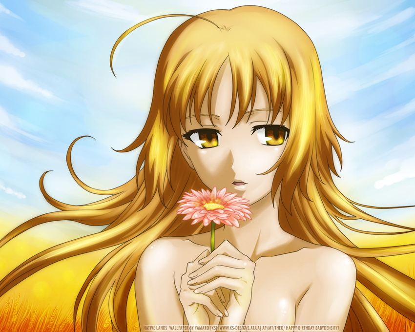 blonde_hair canaan close flowers oosawa_maria signed yellow_eyes