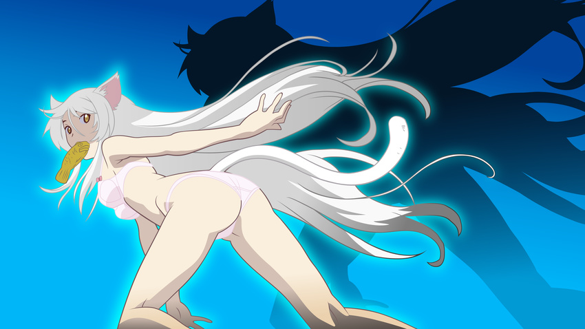 animal_ears bakemonogatari bra catgirl hanekawa_tsubasa long_hair monogatari_(series) tail underwear vector white_hair