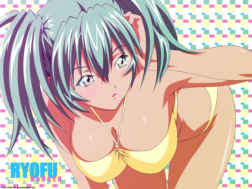 ikkitousen ryofu_housen tagme