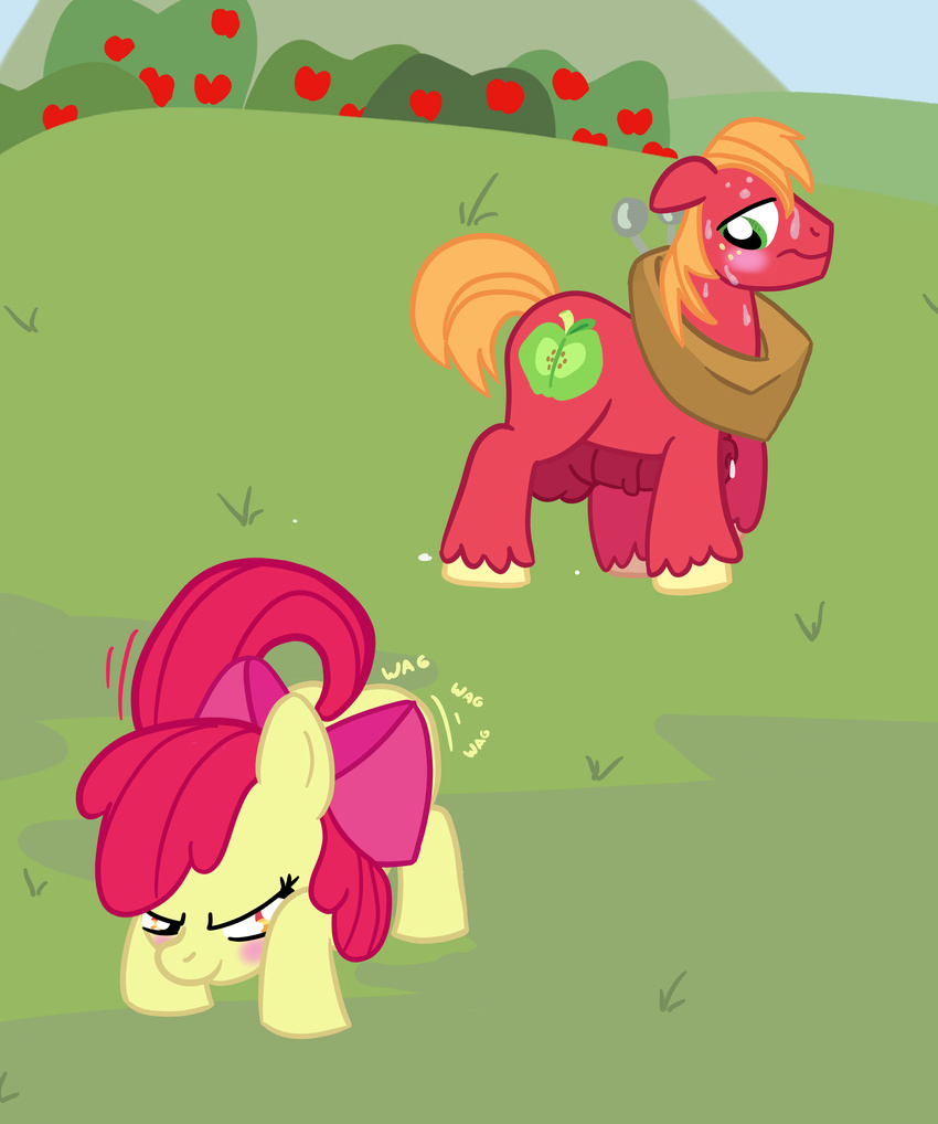 2014 absurd_res age_difference animal_genitalia apple apple_bloom_(mlp) ass_up big_macintosh_(mlp) blush bow cub cunnilingus cutie_mark day english_text equine female feral friendship_is_magic fruit fur grass green_eyes hi_res horse horsecock incest male mammal my_little_pony oral oral_sex outside penis pony precum presenting red_fur sex sweat teasing text tree vaginal world_map_xavior yellow_fur yoke young