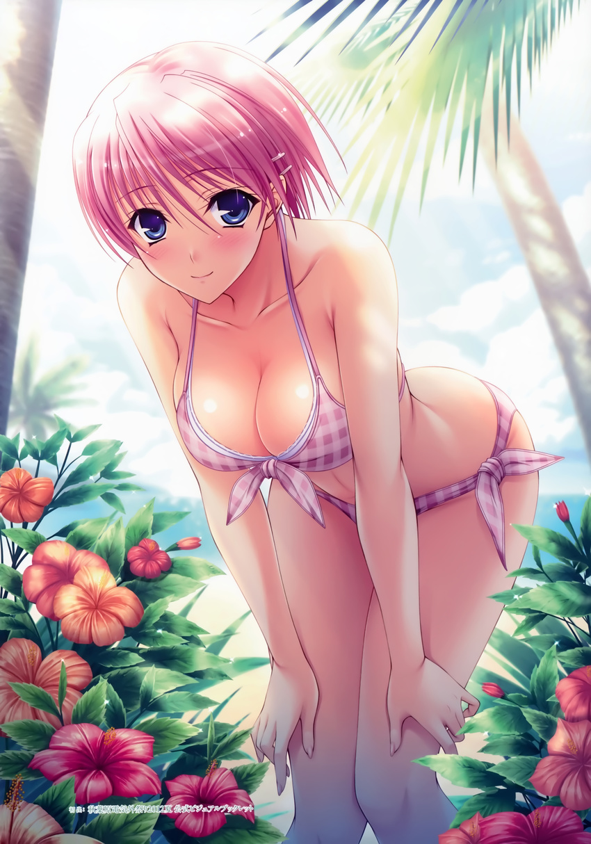 absurdres bikini blue_eyes blush breasts checkered checkered_bikini cleavage collarbone fingernails flower front-tie_bikini front-tie_top hair_ornament hairclip hanging_breasts hibiscus highres kisaki_mio komori_kei large_breasts layered_bikini leaning_forward light_smile long_fingernails looking_at_viewer palm_tree pink_bikini pink_hair plaid plaid_bikini shiny shiny_skin short_hair side-tie_bikini smile swimsuit tree walkure_romanze