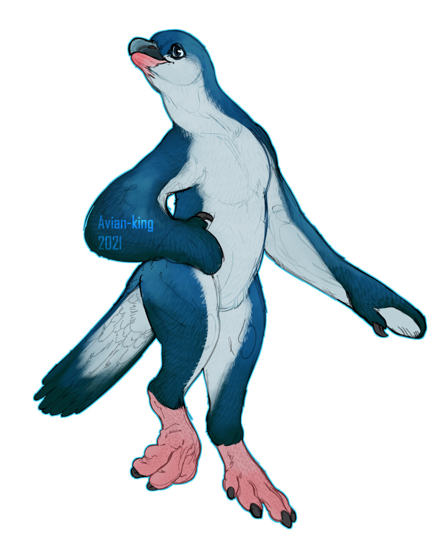 2021 absurd_res alpha_channel ambiguous_gender anthro avian avian-king beak biped bird blue_body blue_feathers claws countershade_arms countershade_face countershade_tail countershade_torso countershading feathers hi_res penguin simple_background solo tail transparent_background