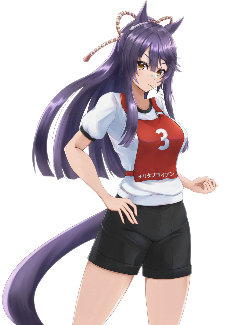 1girl animal_ears bandaid bandaid_on_face black_hair black_shorts character_name clenched_hand closed_mouth commentary cowboy_shot frown gym_shirt gym_shorts gym_uniform hair_ornament hand_on_own_hip highres horse_ears horse_girl horse_tail kemuri_(etep3372) long_hair looking_at_viewer mouth_hold narita_brian_(umamusume) ponytail race_bib rope shirt short_sleeves shorts simple_background solo stalk_in_mouth standing t-shirt tail translated umamusume white_background white_shirt yellow_eyes