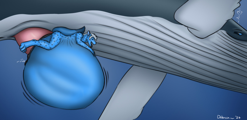 2024 alternate_version_at_source anal anal_penetration animal_genitalia anthro anthro_on_feral anthro_penetrated anus baleen_whale belly bestiality big_belly biped blue_body blue_eyes blue_fur bodily_fluids bubble cetacean dolorcin duo ejaculation erection extreme_penetration extreme_size_difference female female_penetrated feral feral_penetrating feral_penetrating_anthro fur genital_fluids genital_slit genitals hi_res huge_belly humpback_whale hyena hyper hyper_belly kraven_lupei looking_pleasured male male/female male_penetrating male_penetrating_female mammal marine penetration penile penile_penetration penis penis_in_ass pussy_ejaculation ridiculous_fit sex signature size_difference underwater vaginal_fluids water year