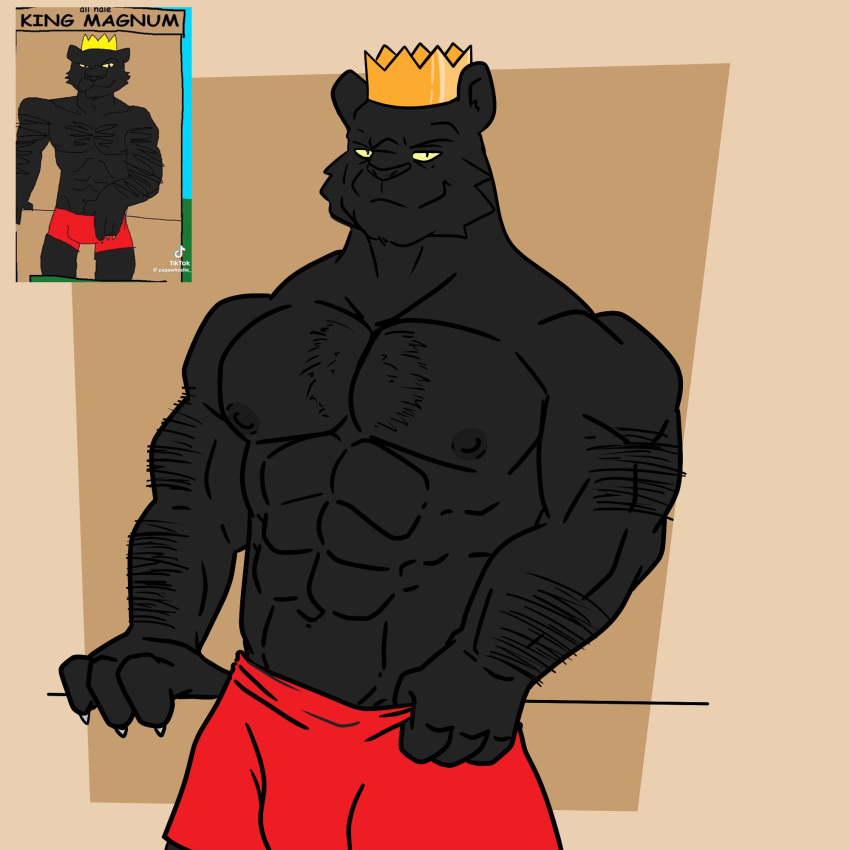 2024 abs anthro black_nipples clothed clothing comic_sans crown danny_smoke_in_furry_land digital_media_(artwork) felid goagandbat headgear hi_res king king_magnum male mammal muscular muscular_anthro muscular_male nipples pantherine pecs red_clothing red_underwear reference_image royalty simple_background smile solo text tiktok underwear yellow_sclera