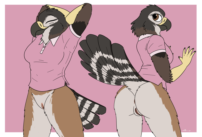 accipitrid accipitriform anthro anus avian bird bottomless bottomless_anthro bottomless_female buteo butt clothed clothing female fish_birb genitals hands_behind_head hi_res holly_(fish_birb) multiple_poses pink_clothing pink_shirt pink_topwear polo_shirt pose presenting presenting_hindquarters pussy raised_tail shirt short_sleeves solo swainson's_hawk tail topwear