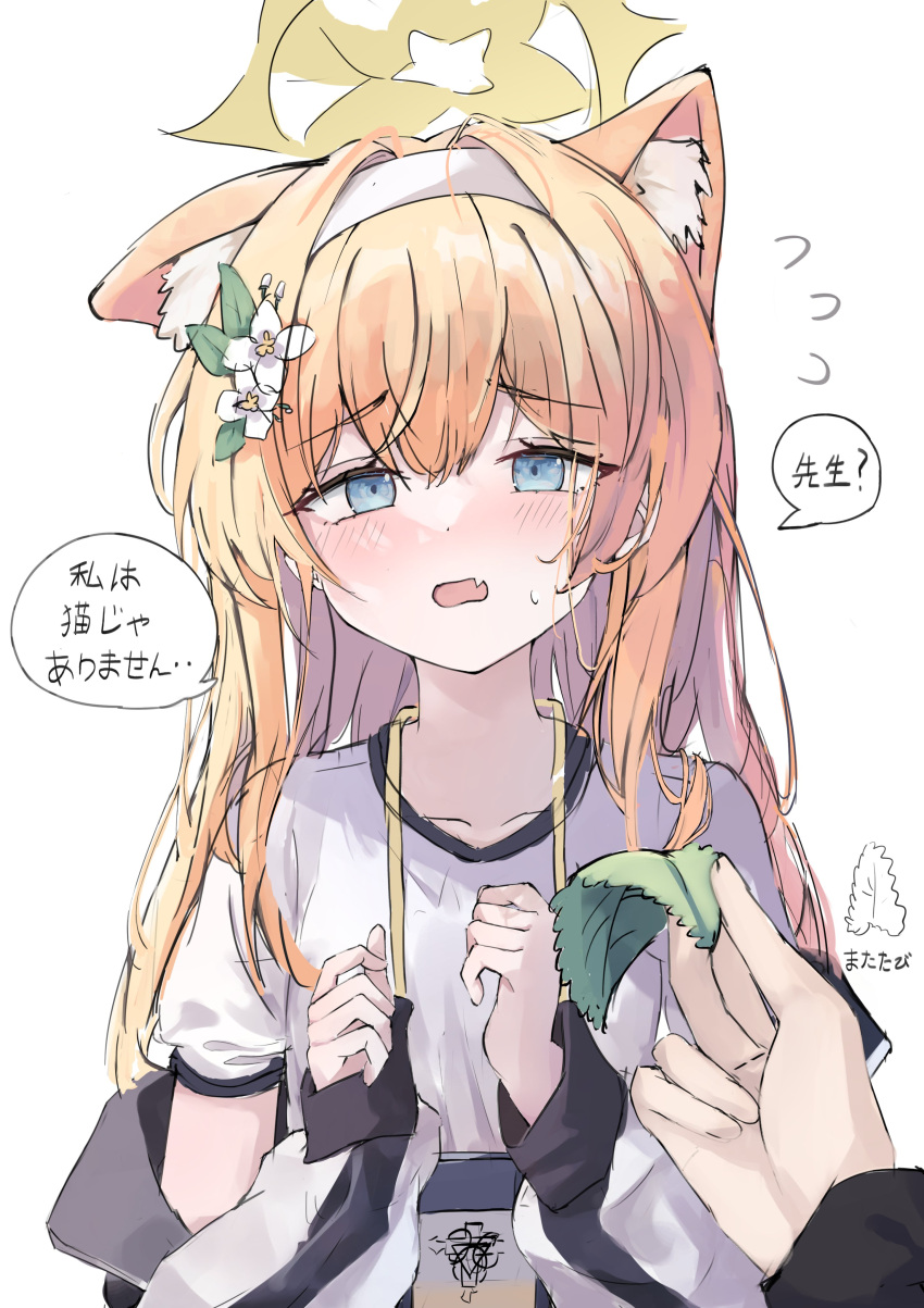 1boy 1girl absurdres animal_ears blue_archive blue_eyes blush cat_ears catnip check_translation fang hairband halo highres kucu leaf long_hair mari_(blue_archive) orange_hair sensei_(blue_archive) skin_fang speech_bubble translation_request upper_body white_background