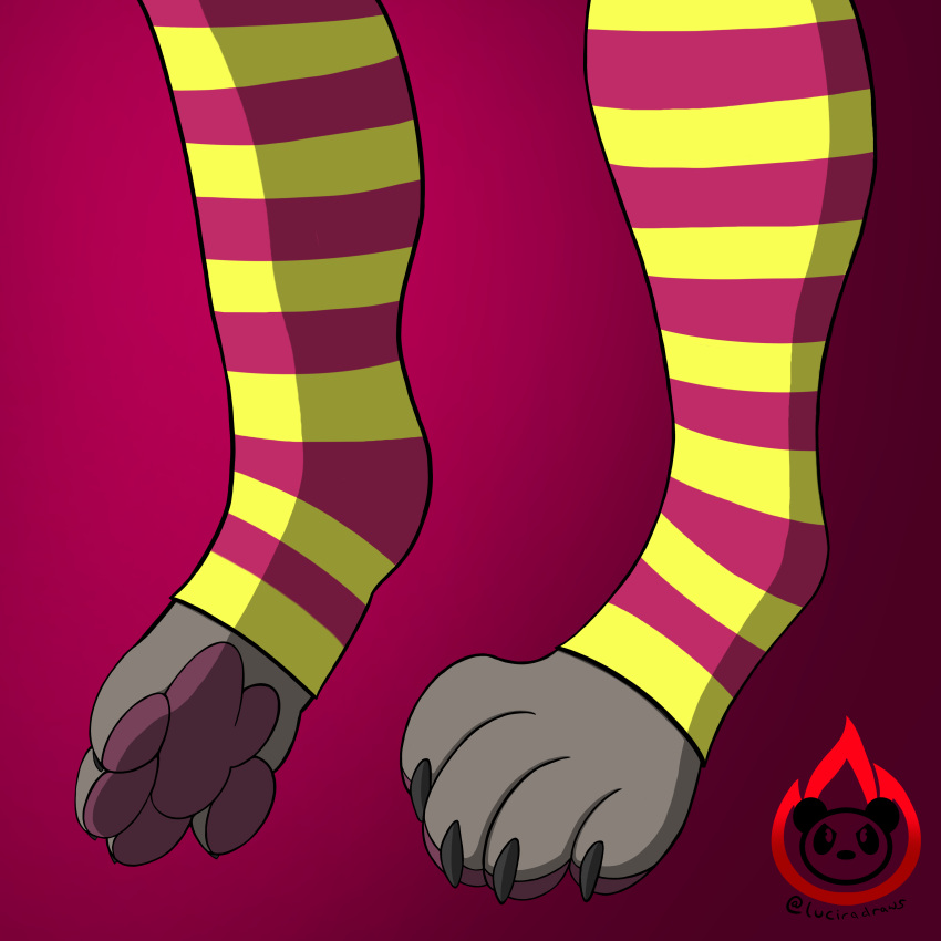 absurd_res anthro canid canine claws clothing feet female foot_focus footwear fur grey_body grey_fur hi_res hindpaw legwear luciradraws mammal pawpads paws pink_clothing pink_footwear pink_pawpads pink_socks socks solo syllver_kinen_(doomxres) thigh_highs thigh_socks toe_claws yellow_clothing yellow_footwear yellow_socks