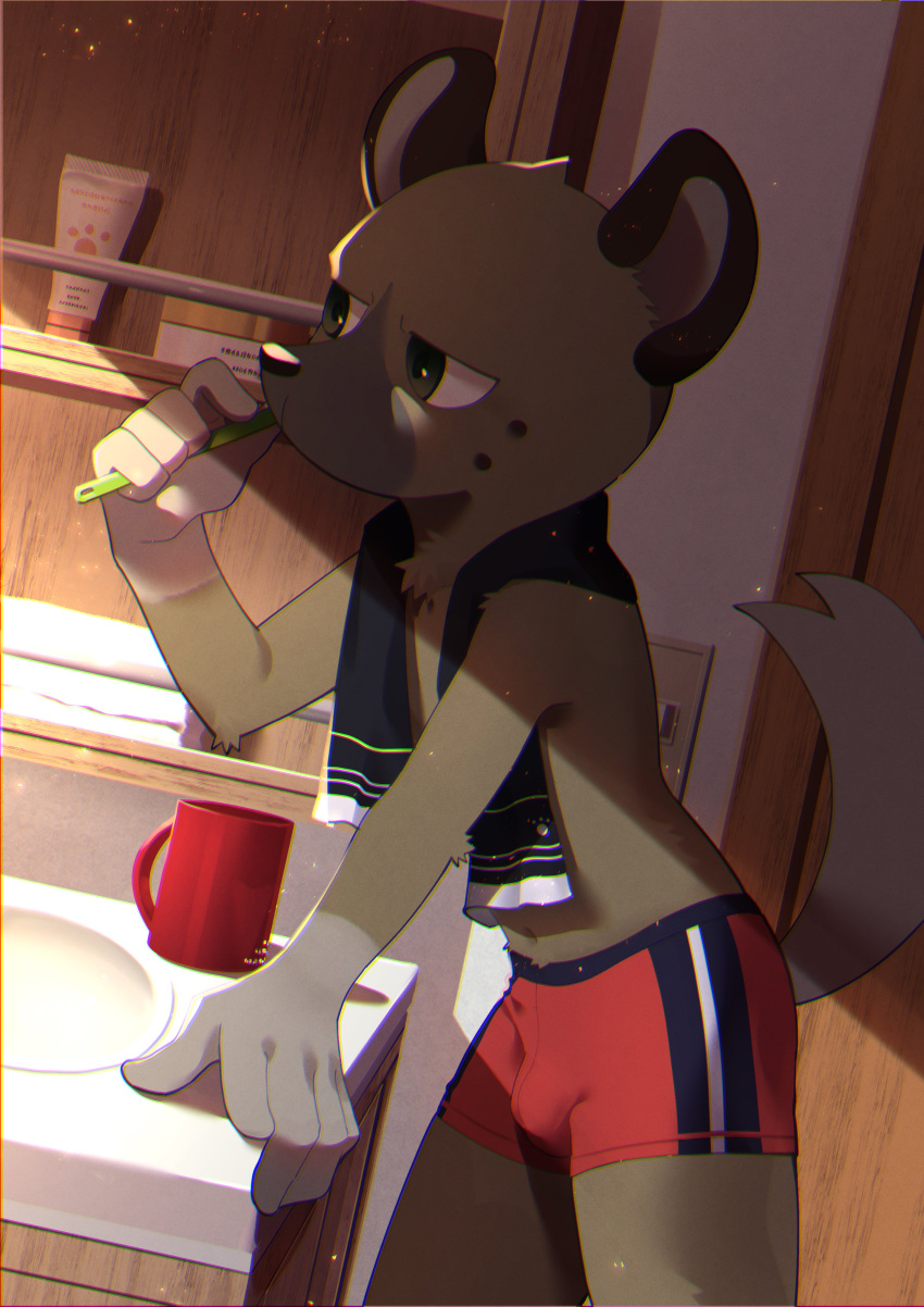 2022 5_fingers absurd_res aggretsuko agitoryuusaki anthro bathroom boxer_briefs brown_body brown_fur brush brushing brushing_teeth bulge clothed clothing container cup fingers fur haida_(aggretsuko) hi_res hyena male mammal red_clothing red_underwear sanrio solo spotted_hyena towel underwear underwear_only