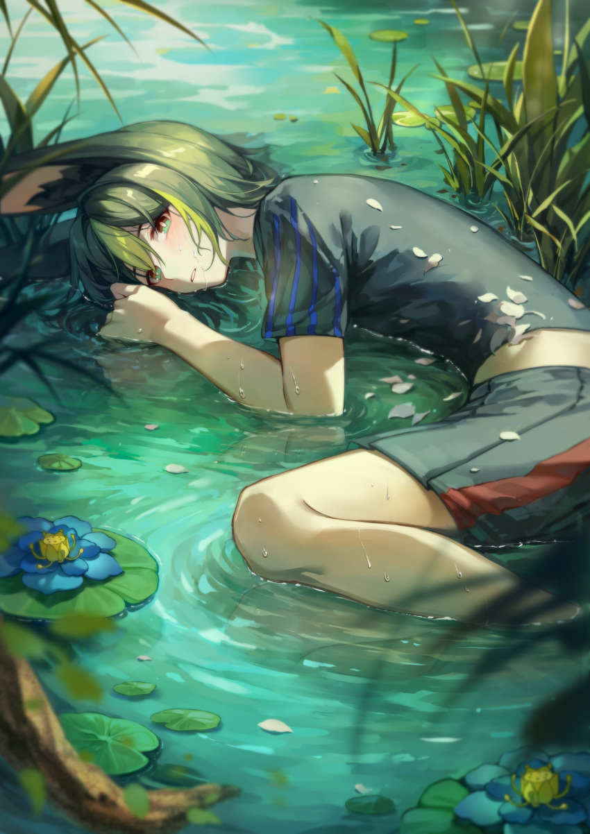 1boy absurdres animal_ear_fluff animal_ears black_hair blue_flower blush chrisleryen flower fox_boy fox_ears genshin_impact green_eyes green_hair highres lily_pad looking_at_viewer lying lying_on_water male_focus on_side outdoors parted_lips partially_submerged petals ripples short_sleeves solo tighnari_(genshin_impact) water wet