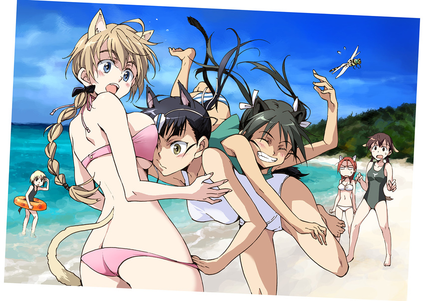 agahari ahoge alternate_costume animal_ears ass bare_shoulders barefoot beach bikini_pull black_hair blonde_hair blue_eyes blush bow braid breasts brown_eyes brown_hair bug cleavage closed_eyes cloud day dragonfly erica_hartmann eyepatch eyepatch_lift francesca_lucchini gertrud_barkhorn grin hair_bow hair_ribbon horizon innertube insect large_breasts long_hair lynette_bishop minna-dietlinde_wilcke multicolored_hair multiple_girls ocean one-piece_swimsuit open_mouth outdoors panties ponytail pulled_by_another red_hair ribbon sakamoto_mio school_swimsuit single_braid sky smile strike_witches striped striped_panties sweatdrop swimsuit tackle tail twintails two-tone_hair underwear wading white_school_swimsuit white_swimsuit world_witches_series yellow_eyes