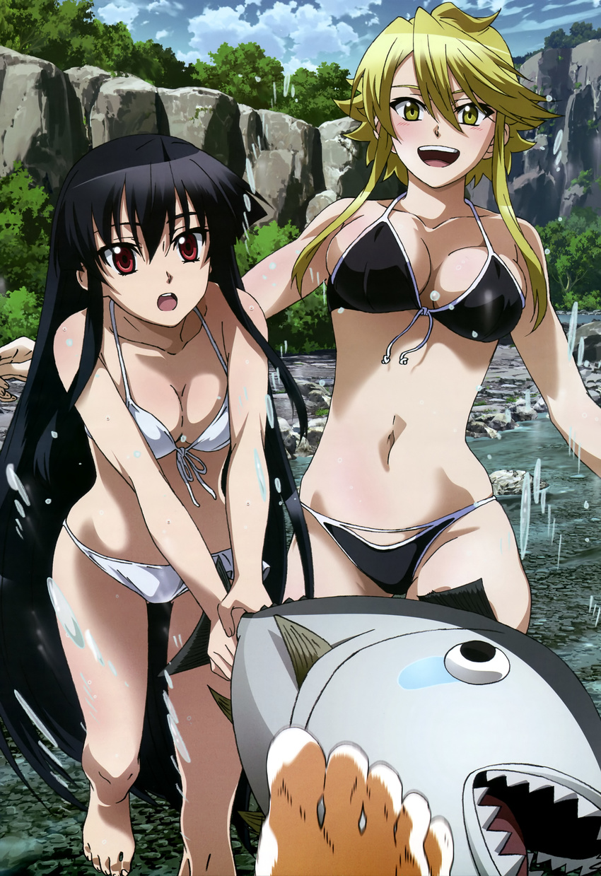 2girls :d :o absurdres akame akame_ga_kill! bare_shoulders barefoot bikini black_hair blonde_hair blush breasts fish front-tie_top highres hitting large_breasts leone long_hair midriff mountain multiple_girls nakamura_kazuhisa navel nyantype official_art open_mouth pov red_eyes scan sharp_teeth short_hair_with_long_locks sidelocks skindentation smile splashing swimsuit tears teeth tree very_long_hair water yellow_eyes