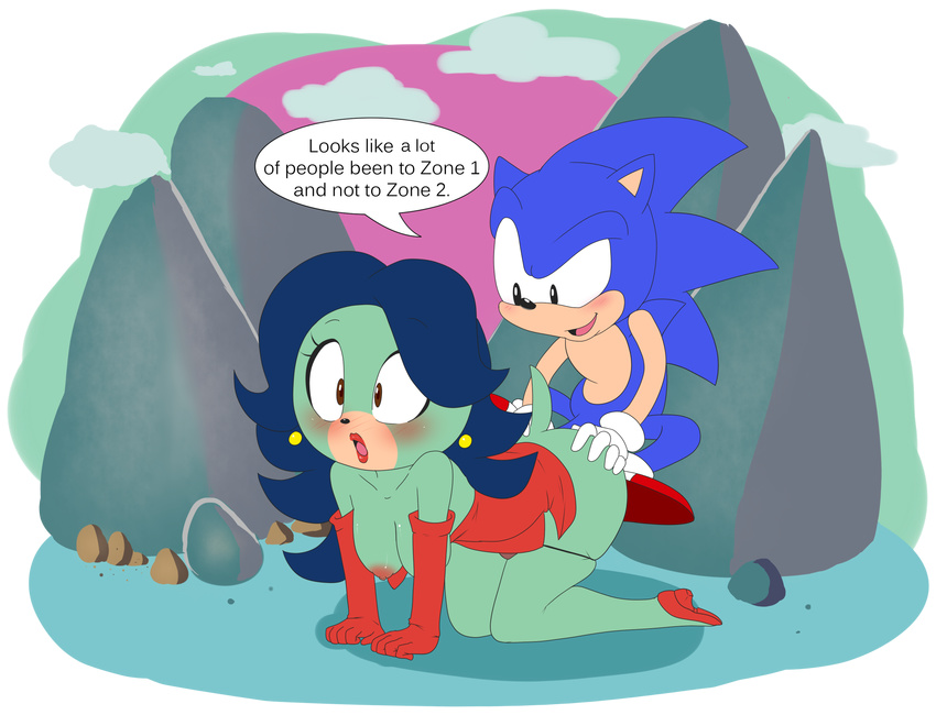 all_fours anal anal_penetration breasts breezie doggystyle from_behind hearlesssoul panties penetration sega sex sonic_(series) sonic_the_hedgehog surprise_buttsex underwear