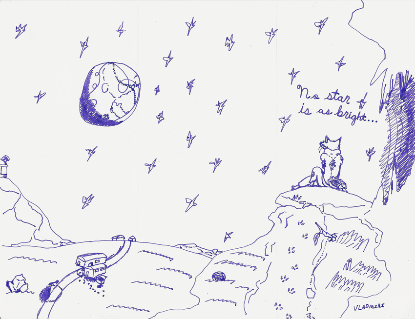 canine cave crystal dialog field fox grass invalid_color mammal monochrome moon night observatory outside sketch stars text vladmiri