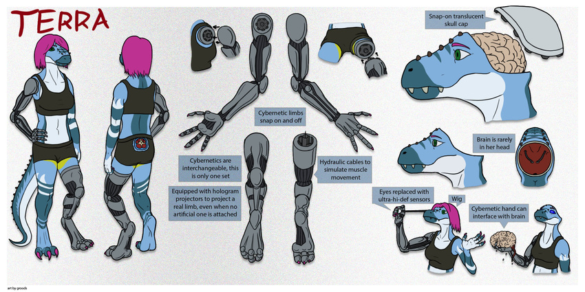 brain cybernetic_limbs eye groods krauk open_head terra wig zhiral