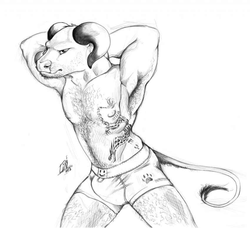 2013 abs anthro biceps bovine boxer breasts cattle clothing fur gay hair horn linaraya looking_at_viewer male mammal muscles nipples plain_background pose solo standing tattoo topless underwear white_background