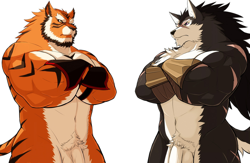 anthro balls biceps big_muscles body_markings canine crossed_arms drks duo feline flaccid fur hat male mammal markings muscles nude orange_fur penis plain_background purple_eyes raihi rouen scar shining_(series) shining_wind stripes tiger video_games white_fur wolf yellow_eyes