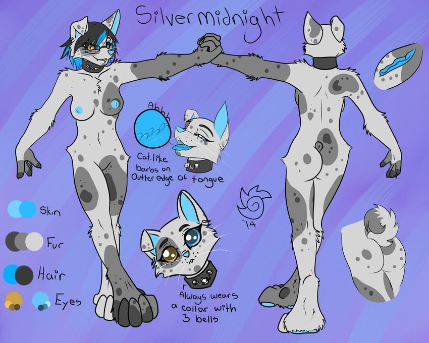 2014 anthro areola blue_hair breasts butt canine cat collar curled_tail dog eyewear feline female fur glasses hair heterochromia looking_at_viewer mammal model_sheet nipples open_mouth piercing silvermidnight silvermidnight_(character) smile solo spotted standing tongue