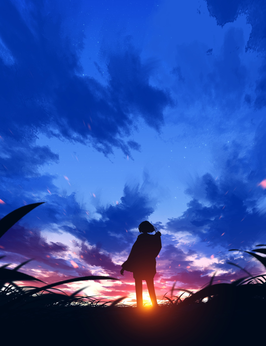 1other backlighting cloud colorful commentary_request dusk fapka grass highres horizon original outdoors outstretched_arm scenery shadow short_hair silhouette sky solo standing star_(sky) sun sunset wide_shot