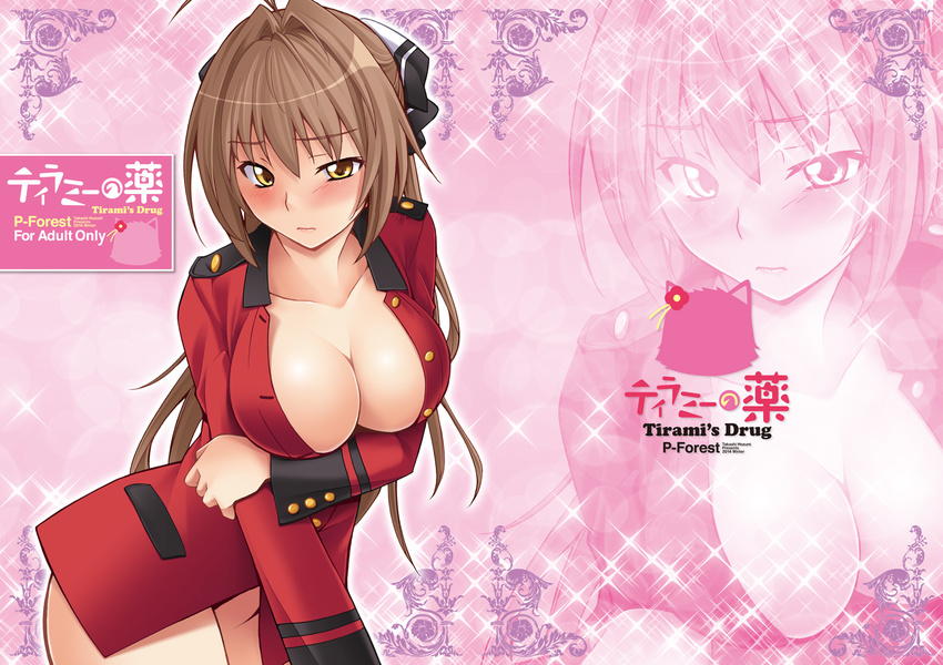 amagi_brilliant_park breasts brown_eyes brown_hair cleavage hozumi_takashi large_breasts long_hair naked_coat sento_isuzu solo