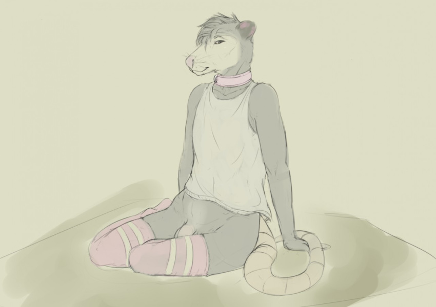 2019 anthro biped brown_fur brown_hair clothed clothing collar digital_media_(artwork) dustybeau_(artist) flaccid front_view full-length_portrait fur grey_background hair legwear looking_at_viewer male mammal marsupial opossum penis pink_clothing pink_legwear pink_nose pink_stockings portrait shirt short_hair simple_background sitting smile solo stockings tank_top whiskers