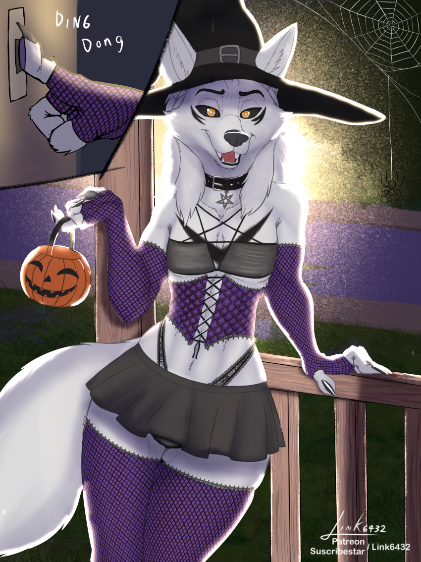 absurd_res anthro bottomwear bulge canid canine canis clothed clothing corset crossdressing girly gloves halloween handwear hat headgear headwear hi_res holidays hybrid legwear lingerie link6432 male mammal skirt solo stockings topwear underwear witch_costume witch_hat