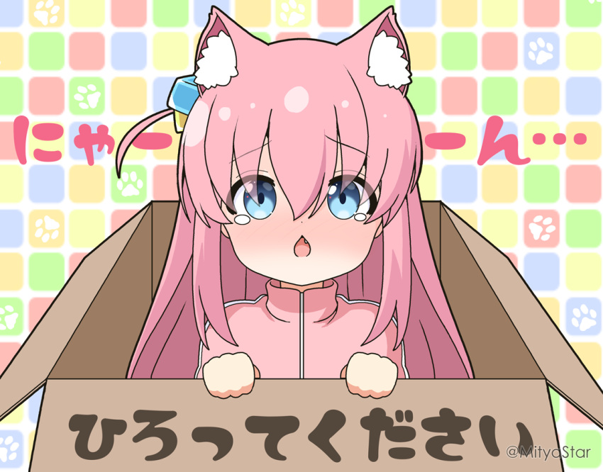 1girl animal_ear_fluff animal_ears blue_eyes bocchi_the_rock! box cardboard_box cat_ears chestnut_mouth commentary_request cube_hair_ornament eyes_visible_through_hair for_adoption gotoh_hitori grid_background hair_between_eyes hair_ornament in_box in_container jacket kemonomimi_mode looking_at_viewer mitya multicolored_background one_side_up parted_lips paw_print paw_print_background pink_hair pink_jacket solo sound_effects tearing_up tears track_jacket translated turn_pale twitter_username upper_body