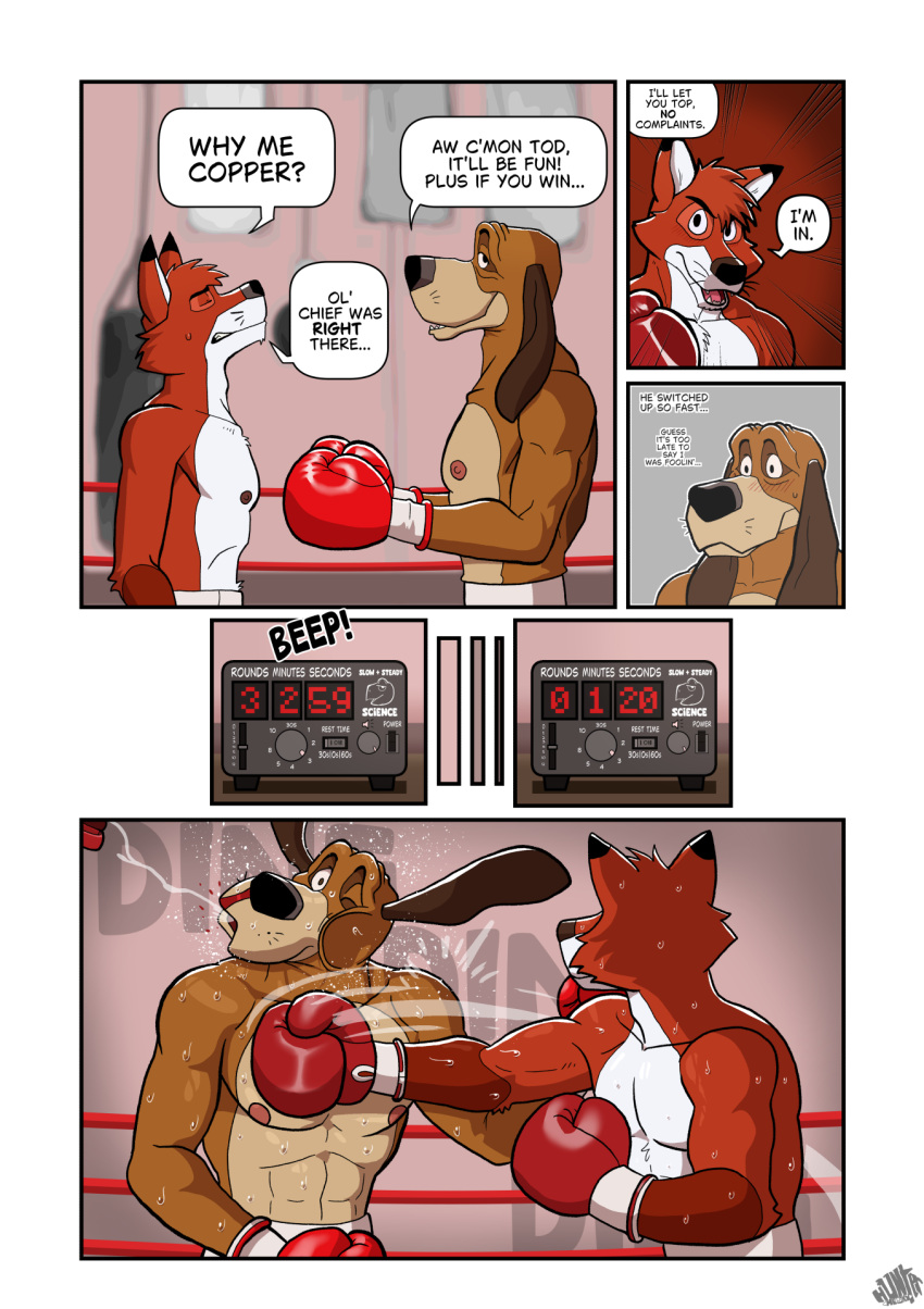 anthro anthrofied blood bloodhound blush bodily_fluids boxing boxing_gloves brown_body candid canid canine canis cheek_tuft clothing copper_(tfath) disney domestic_dog english_text face_punch facial_tuft fight fighting_ring floppy_ears fox gym handwear head_tuft hi_res hunter-husky hunting_dog male male/male mammal mouthguard muscular muscular_male nipples nosebleed punch punching_bag red_body red_fox saliva scent_hound sport sweat text the_fox_and_the_hound timer tod_(tfath) true_fox tuft whiskers