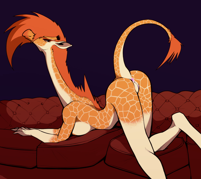 absurd_res all_fours anthro anus ass_up athletic athletic_anthro athletic_female big_breasts breast_squish breasts butt butt_pose female fur furniture genitals giraffe giraffid hair hi_res horn long_legs long_neck long_tail looking_at_viewer looking_back mammal mane mane_hair maris_(xzorgothoth) mohawk narrowed_eyes nipples nude orange_body orange_fur orange_hair orange_mane ossicone pose presenting presenting_anus presenting_hindquarters presenting_pussy pussy rear_view smile smirk sofa solo squish striped_body stripes tail tail_tuft tall tuft white_stripes xzorgothoth yellow_eyes