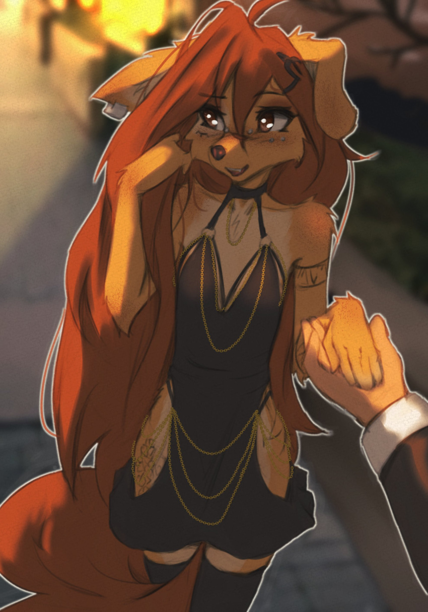 2024 5_fingers absurd_res ambiguous_gender anthro apogee_(tinygaypirate) arm_tattoo breasts brown_eyes brown_hair brown_tail canid canine canis clothed clothing countershade_torso countershading domestic_dog dress duo ear_piercing female fingers first_person_view fur hair hand_holding hi_res hip_tattoo hollow_hip_dress inner_ear_fluff legwear long_hair long_tail looking_aside mammal open_mouth open_smile outside piercing small_breasts smile standing tail tan_body tan_fur tattoo teeth thigh_highs tinygaypirate tongue tuft
