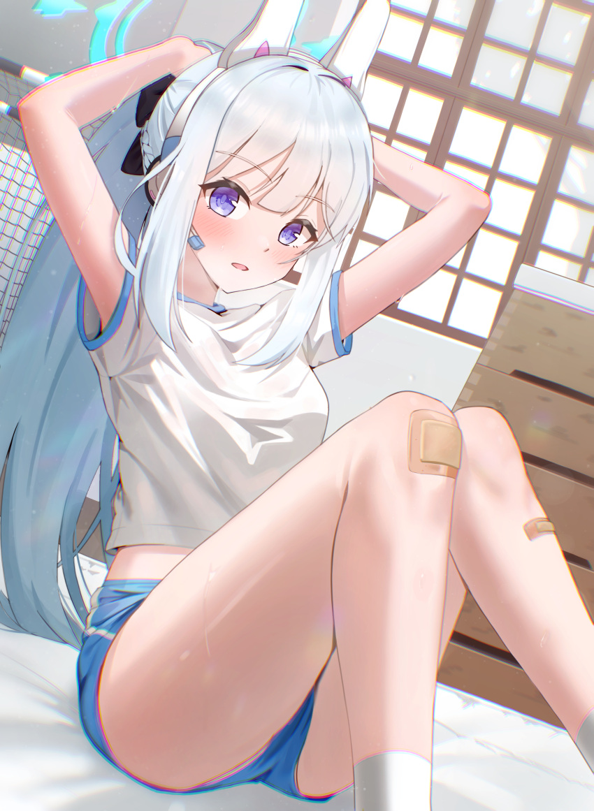 1girl absurdres animal_ears ass blue_archive blue_halo blue_shorts blush earpiece fake_animal_ears gym_shirt gym_shorts gym_uniform halo highres indoors long_hair miyako_(blue_archive) open_mouth purple_eyes rabbit_ears shirt short_sleeves shorts socks solo sweat taylor_(41848077) white_hair white_shirt white_socks