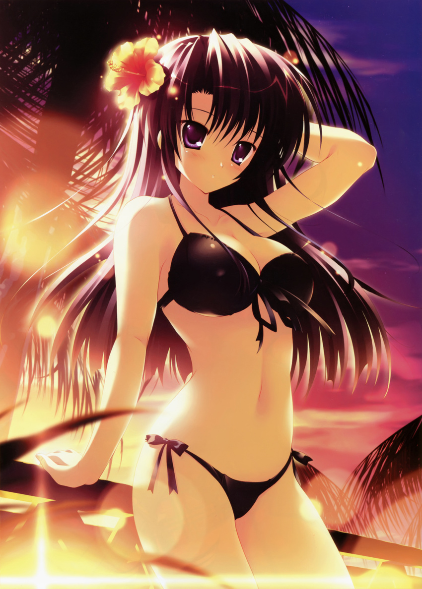 absurdres bikini black_hair breasts cleavage covered_nipples cowboy_shot flower front-tie_top hair_flower hair_ornament hibiscus highres huge_filesize large_breasts lens_flare long_hair lyrical_lyric mikeou palm_tree purple_eyes purple_hair side-tie_bikini sunset swimsuit takami_rin tree