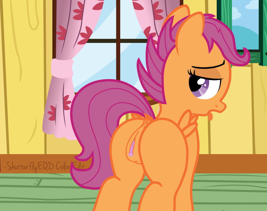 2015 anus butt clitoris cub equine female feral friendship_is_magic mammal my_little_pony pegasus pussy scootaloo_(mlp) shutterflyeqd solo wings young