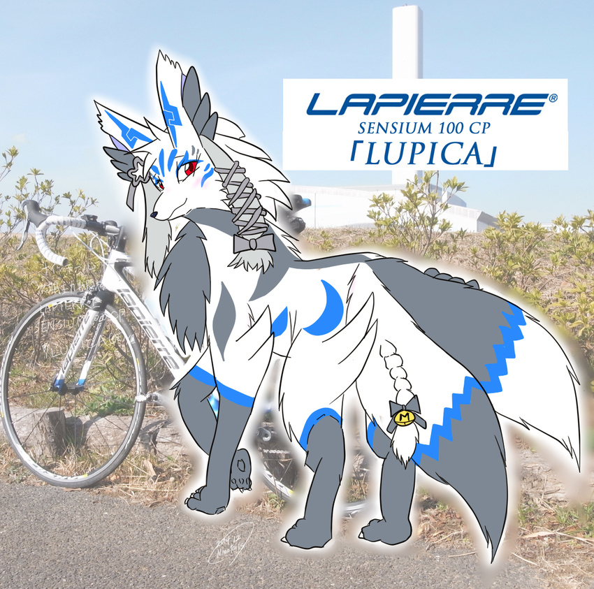 bicycle canine female feral kemono mammal photo real red_eyes solo unknown_artist wolf