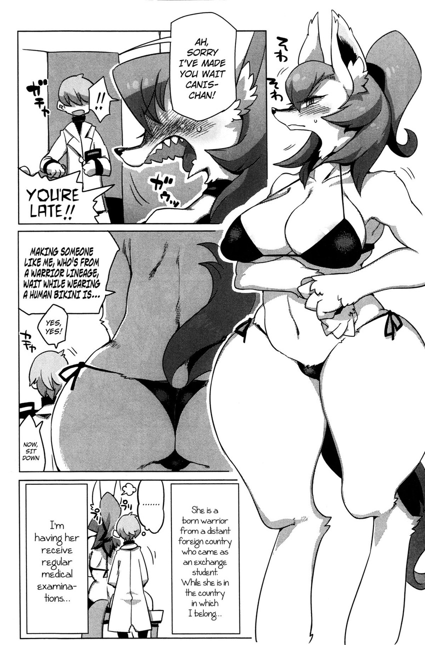 anthro big_breasts big_butt bikini breasts butt canine cleavage clothed clothing collar comic dog female fur hair huge_breasts kemono long_hair mammal monochrome ricosye swimsuit wide_hips