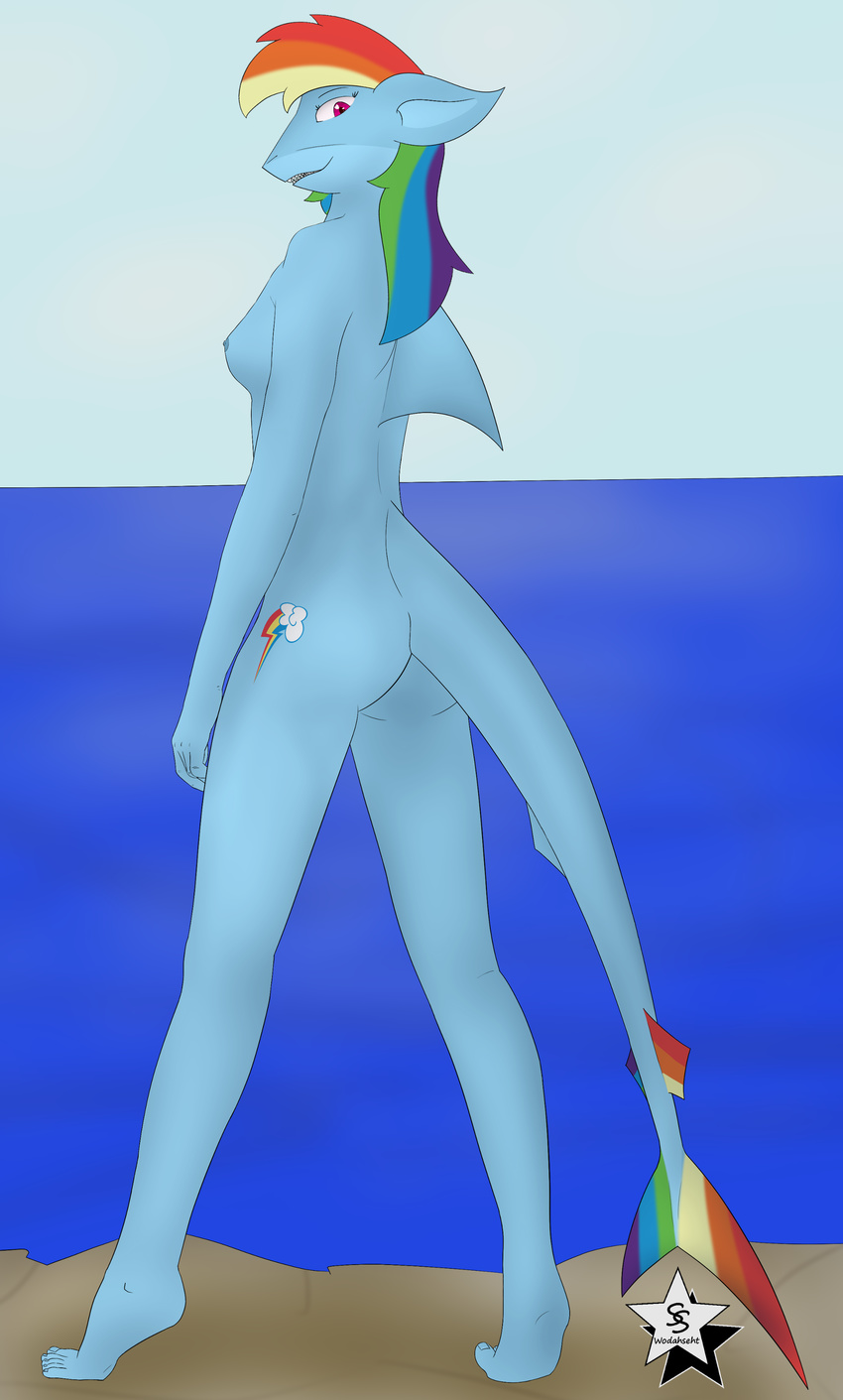 2015 absurd_res anthro anthrofied breasts butt cutie_mark female fish friendship_is_magic hi_res looking_at_viewer looking_back marine my_little_pony nude outside rainbow_dash_(mlp) shark side_boob solo wodahseht