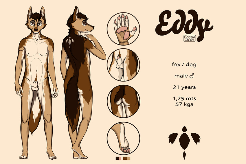 anthro balls butt canine dog eddy edesk fox hindpaw hybrid looking_at_viewer male mammal model_sheet nude pawpads paws penis solo standing toes